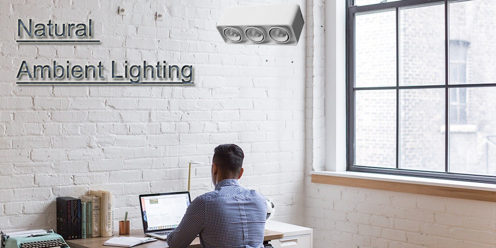 What's the ideal lighting for your home office?cid=4