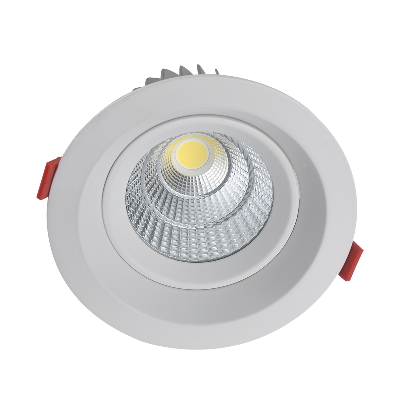 LED Downlight DTP Series 7-30W