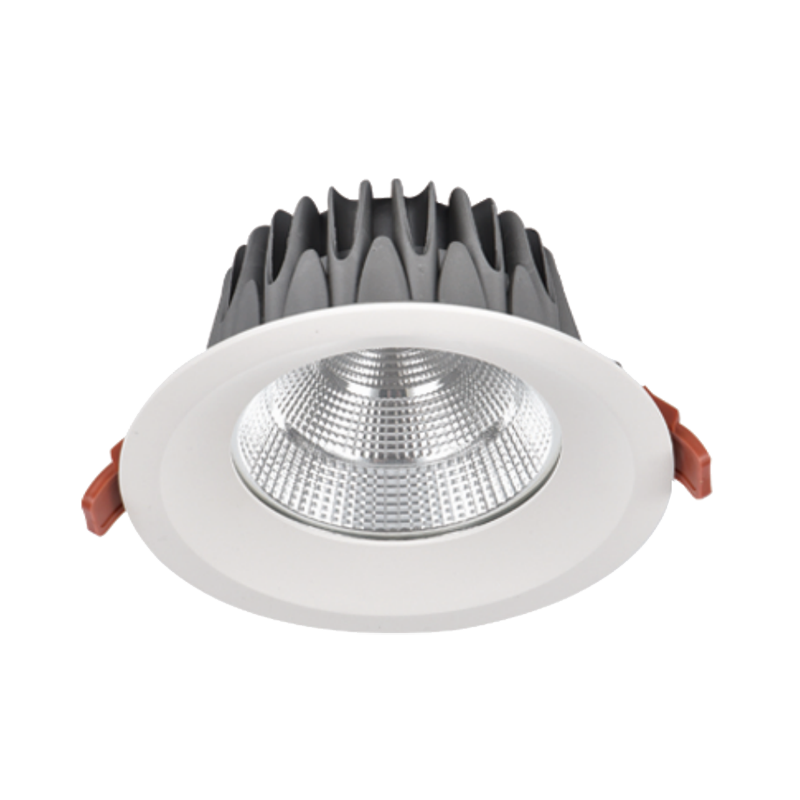 IP65 LED Downlight DTY Series