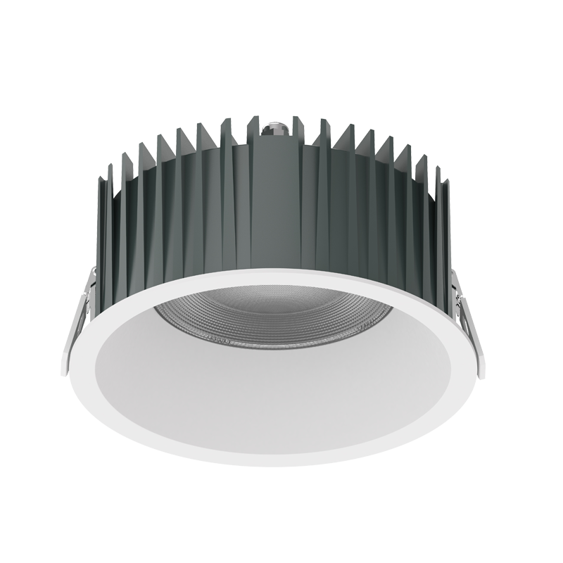 IP65 LED Downlight DLY-R Series