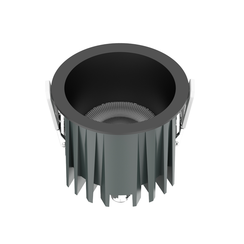 IP65 LED Downlight DLY-R Series