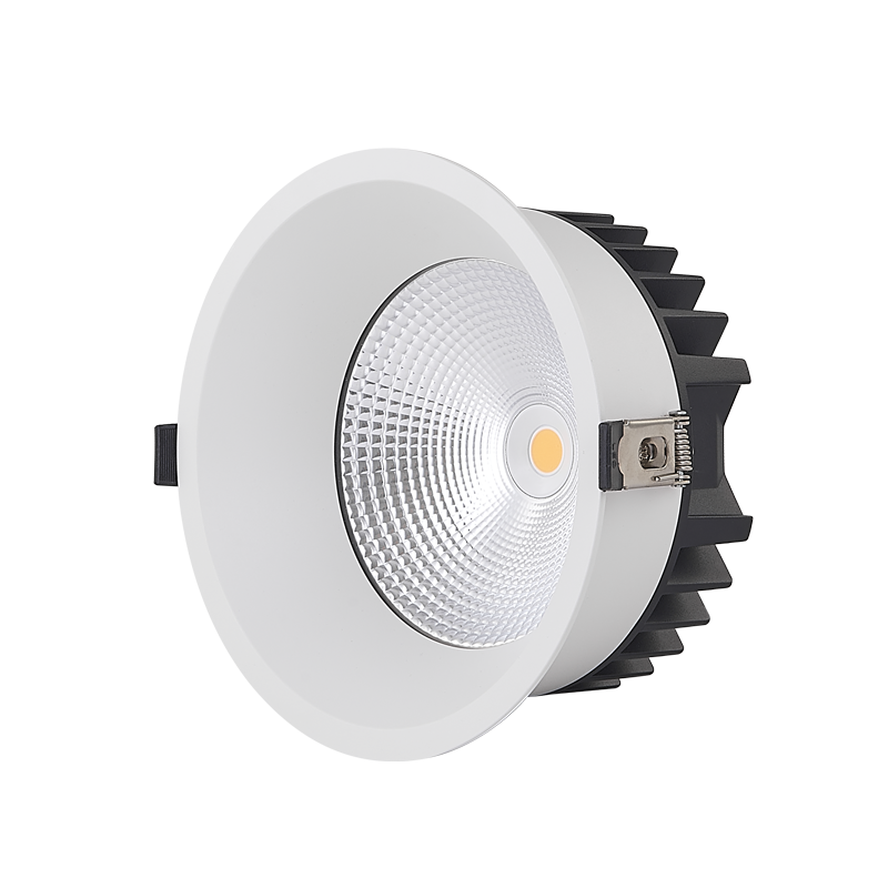 IP65 LED Downlight DLF-COB Series