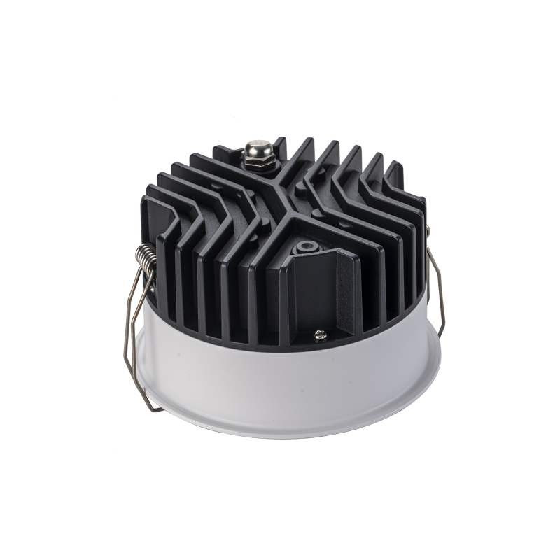 IP65 LED Downlight DLF-COB Series