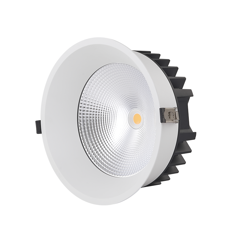 IP65 LED Downlight DLF-COB Series